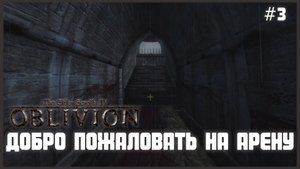 TES IV Oblivion на 100% #3: Добро пожаловать на Арену (Подробное прохождение).