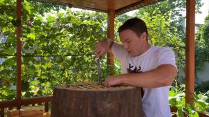 ЭКО МЁД. Заселение пчёл. Изъятие бортового мёда. САМЫЙ ПОЛЕЗНЫЙ МЁД.