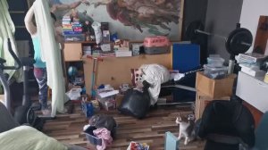 Начинаем ремонт в зале!