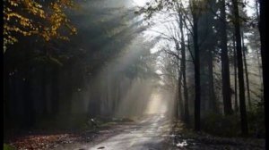 Наутилус Помпилиус - Бегущая вдаль