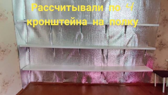Бюджетный стеллаж для комнатных растений. Идея для зимнего размещения. Лайфхак!