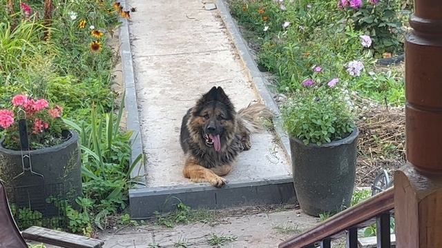 Режим ожидания