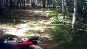 Езда на мотоблоке АГРО по лесной дороге