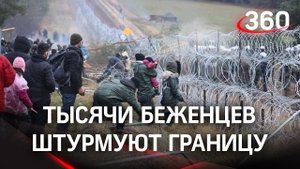 Стрельба на белорусско-польской границе: Варшава стянула войска для сдерживания мигрантов. Главное
