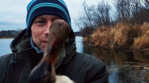 Охота на водоплавающих, закрытие водомоторного сезона, мотор Гладиатор водомёт 30. р.Уфа. р. Изяк.