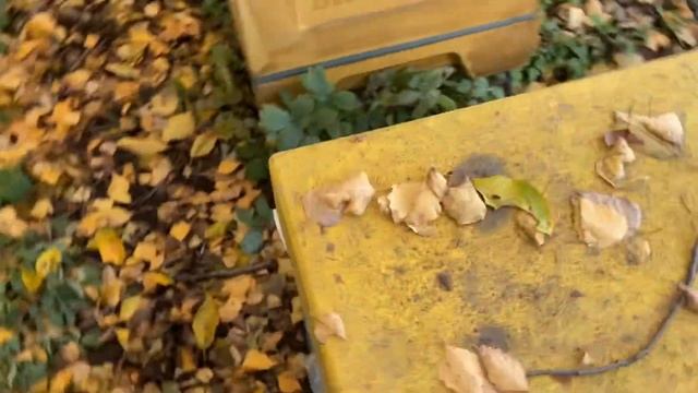 Аэрозоль от варроа, работает или нет?! Проверка. смотреть онлайн