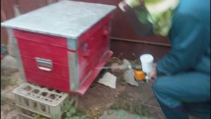 Обработка пчел против клеща Дым-пушкой Varomor