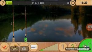 Ловля карпа на лесном озере.