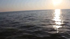 Приморско-Ахтарск Море Отдых Рыбалка