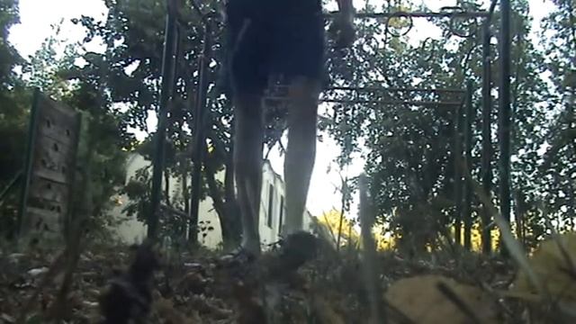 ЗОЖ ,подтягивание и упражнение на пресс. смотреть онлайн