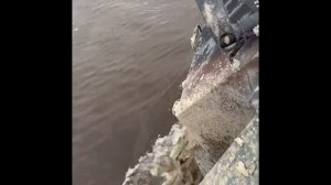 Вездеход Медведь шатун прайм