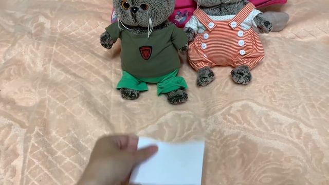 24 ЧАСА!  Басики управляют моим днем! #24часа
