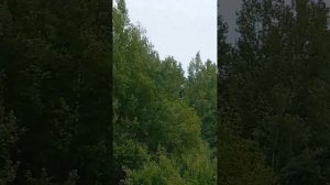 Живи родник, живи. Родник моей любви, клип на песню