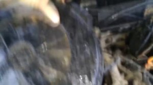 Почему машина не едет - теряет тягу на трассе. Лед в первой камере карбюратора. Глохнет.