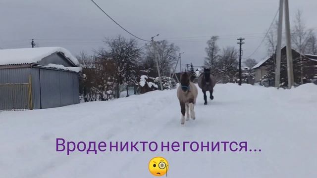 ??? Побег из "курятника"? смотреть онлайн