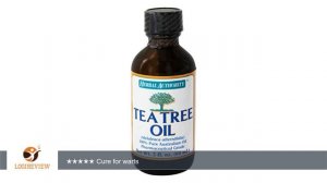 Herbal Authority - Tea Tree Oil - 2 oz. Formerly called Good 'N Natural OVERSTOCKED | Review/Test