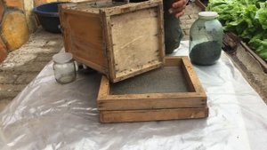 Как добыть продукт ПЖВМ и сделать экстракт на нем?