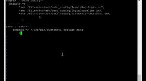 Puppet 6 Installation and Configuration on CentOS7 with multiple example manifests.