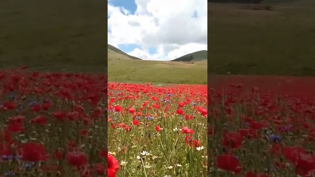 Castelluccio di Norcia Italia