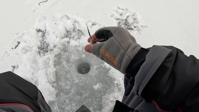 ДУШЕВНАЯ РЫБАЛКА!!! Ловим щуку на жерлицы. Жарим сало на костре! смотреть онлайн