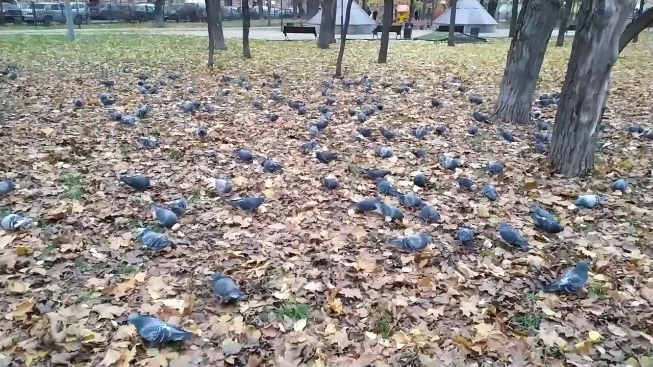 123 смотреть онлайн