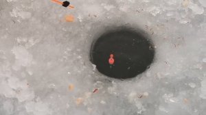 Время проведённое на рыбалке в счёт жизни не идёт. Лучшая  зимняя рыбалка.