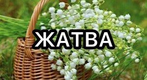 ЖАТВА ХРИСТИАНСКИЙ СТИХ