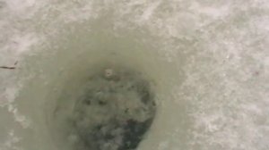 Зимняя рыбалка на Ахтубе 2013 г Ловля на балансиры