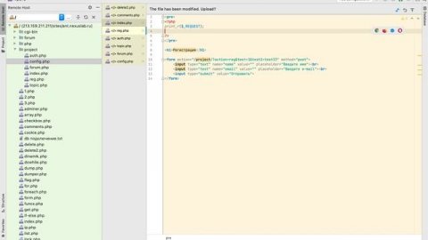 001 - Форум с нуля | Основы PHP/MySQL для новичков