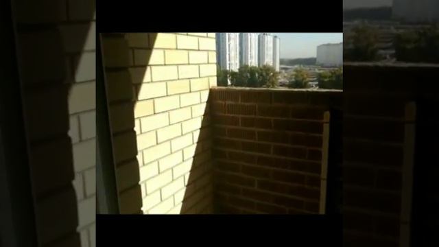 ЖК Флотилия 1-к квартира