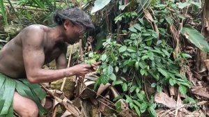 The forest man suddenly appeared, looking for food in the girl's basket, primitive survival