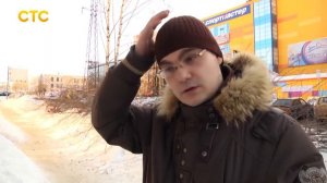 не законно спилили деревья