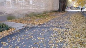 Славянск. 1 ноября 2022г. Прогулка по вокзалу.