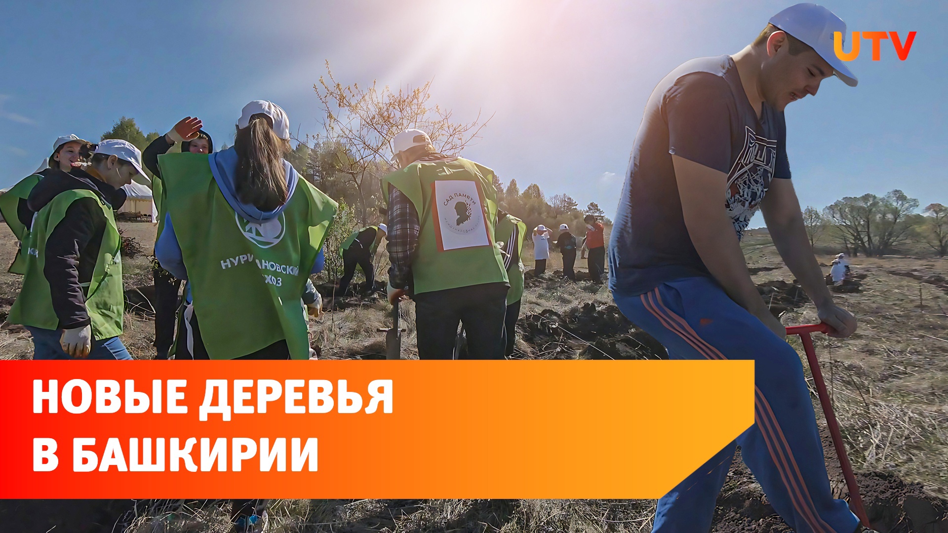 В районе Башкирии высадили более 10 тысяч деревьев. Кто в республике помогает лесу?