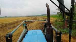 Сею ячмень вторым урожаем  сразу после уборки ячменя. Сею лейкой.