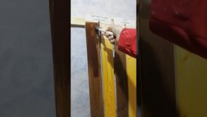 Здоровый дом