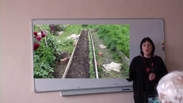 Восстановление плодородия почвы за три года на бывшем колхозном поле по природному земледелию.