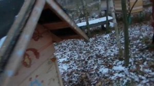 улей из камыша своими руками