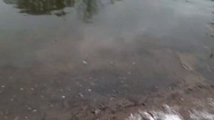 как работает эхолот lucky 918