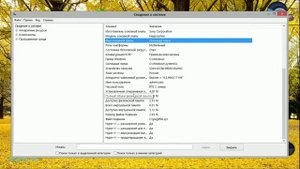 2# Как быстро узнать подробные сведения о системе. MSINFO32