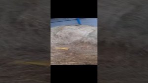 Тюкуем сено 2023 ПРФ 180