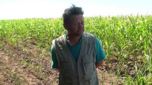 Куликово поле в Богучаре. Миф или Реальность