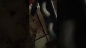 Ремсервис "Manon" 16.04.21. Разборка газового котла Ariston 24ff  котёл в плохом состоянии