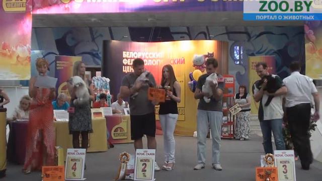 Лучшие взрослые животные. 1-й день выставки смотреть онлайн