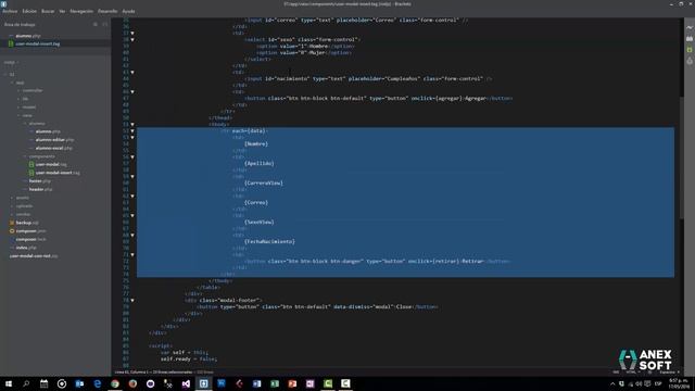 Ejemplo de Riot JS y PHP (Registro de varios alumnos) смотреть онлайн