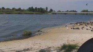 Волны на речке