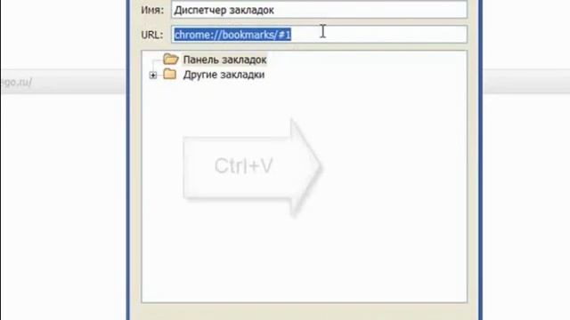 Как скачивать видео с любого сайта (www.blogopraktika.ru)