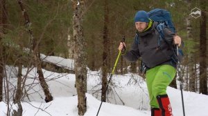 Как ходить по бурелому на туристических лыжах