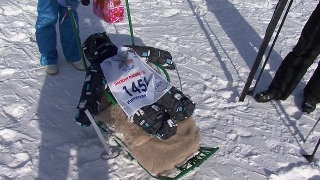 Лыжня России 2016 смотреть онлайн