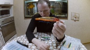Лучшие воблера за 2016 в моей коробке